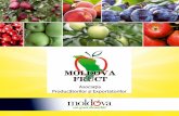 Catalog Moldova Fruct