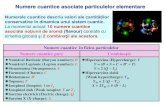 Numere cuantice asociate particulelor elementare