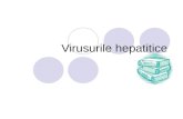 Virusurile hepatitice generala.ppt