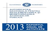 Raport de activitate ANRMAP pe anul 2013