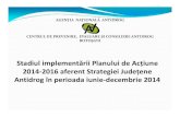 Stadiul implementării Planului de Acţiune 2014-2016 aferent ...