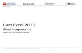 Curs Excel 2013