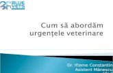 Constantin Ifteme - Cum să abordăm urgențele veterinare