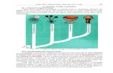 Gavril Niac: Mediul biotic. Note de curs. Fungi. 69 10. REGNUL ...