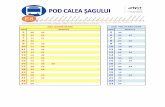 E8 Pod C. Sagului - Scoala Plopi ZL 28.11.2016