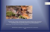 Raport de mediu STRATEGIA NATIONALA SI PLANUL NATIONAL ...