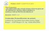 ICDP-Brasov- ADER-132.pdf
