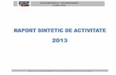 Raportul sintetic de activitate al CNCAN, anul 2013
