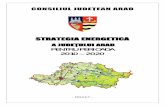Strategie energetica Arad.pdf