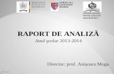 RAPORT DE ANALIZĂ - Anul şcolar 2013-2014