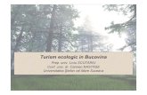 Turism ecologic in Bucovina