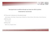 Nanoparticule multifunctionale pe baza de siliciu pentru tratamentul ...