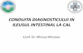 Mircea Mircean - Conduita Diagnosticului in Ileusul Intestinal la Cal