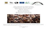 Plan regional de acțiune pentru managementul speciilor de lilieci ...