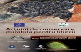 Actiuni de conservare durabila pentru liliecii din siturile Natura 2000 ...