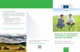 rețeaua de informații contabile agricole a uniunii europene