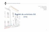 Raport de activitate ISE 2014