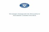 Danube Delta Integrated Development Strategy (DDIDS)