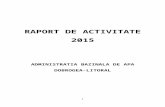 RAPORT DE ACTIVITATE 2015.doc