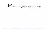 Pisicile Razboinice Vol. 1 PDF