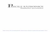 Pisicile Razboinice Vol.3 PDF