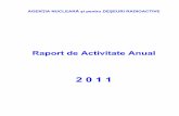 Raport de Activitate Anual 2011