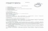 Specificatii tehnice_Constantin Brancoveanu.pdf