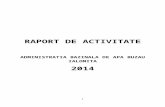 Raport activitate ABA Buzau Ialomita 2014.doc