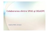 Colaborarea SPAS - DGASPC