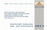 Raport anual de activitate pentru anul 2013