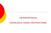 Hematopoieza-Fiziologia seriei eritrocitare.ppt