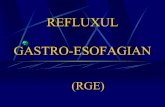 GASTRO-ESOPHAGEAL REFLUX