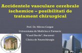 Prof. Dr. Mircea Gorgan Universitatea de Medicina si Farmacie ...
