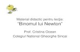 Prezentarea lecţiei “Binomul lui Newton”