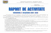 Raportul de activitate pe Sem. I 2012-2013