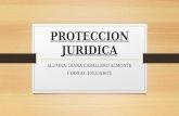 Proteccion juridica DIANA CABALLERO