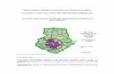 Planul regional de actiune pentru mediu Bucuresti-Ilfov.pdf