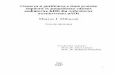 Master thesis in Romanian