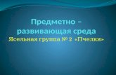 Презентация Попова