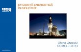 Oferta grupului Romelectro - Industrie