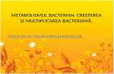4.1 fiziologia microorganismelor