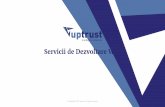 Servicii de Dezvoltare Web - UpTrust