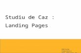 2009.12.08 Adriana CEAUSESCU - Studiu de caz - Landing pages, campanie Transport frigorific