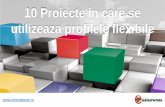 10 proiecte in care se utilizeaza profilele flexibile