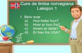 MetaServ - Cursuri limba norvegiana