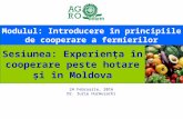 Experienţa în cooperare peste hotare şi în Moldova