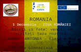 Vizitați românia