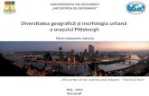 Diversitatea geografica si morfologia urbana  a Orasului Pittsburgh