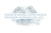 IMAGINE DE ANSAMBLU ASUPRA FIRMELOR DIN ROMANIA, IN PERIOADA 1990 - 2015