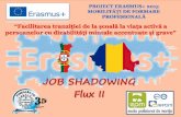 Job shadowing flux 2